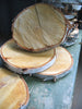 Birch Tree Slices