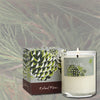Balsam Pine Votive