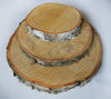 Birch Tree Slices