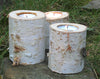 Birch Candle Holder