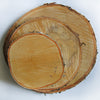 Birch Tree Slices