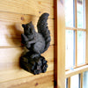Squirrel Friend
